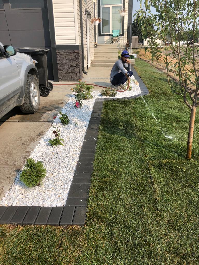 Sod installation and lawn work in Edmonton